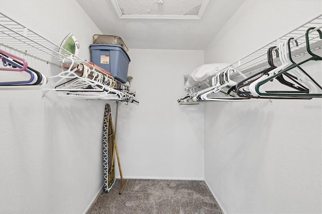 727 Rotonda Cir, Rotonda West, FL 33947 - walk in closet featuring carpet floors and attic access