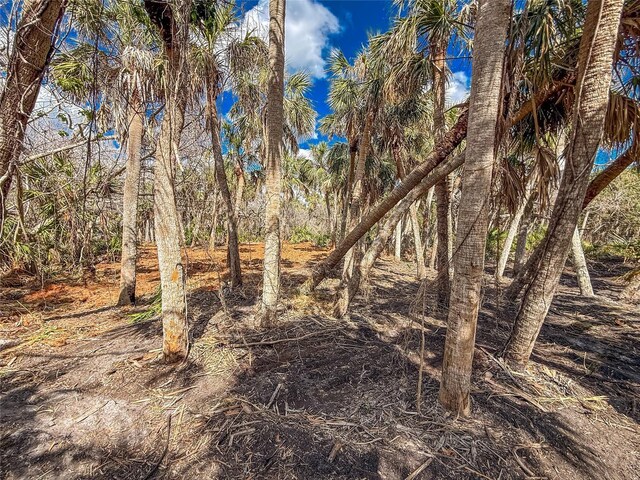 0 Manasota Key Road Bay Side, Englewood, FL 34223 - photo 4