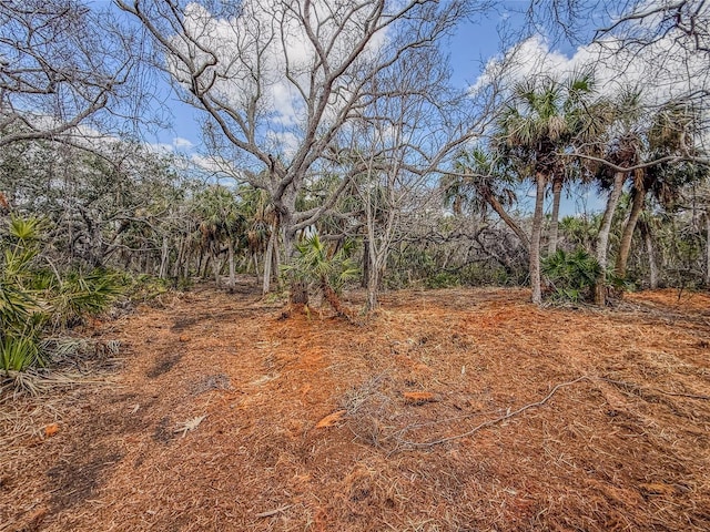 Manasota Key Rd Gulf Side, Gulf Side, Englewood, FL 34223 - photo 12