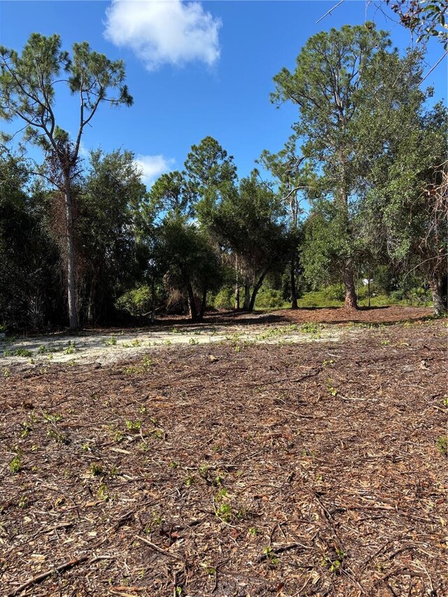 E Price Blvd, North Port, FL 34288 - photo 4