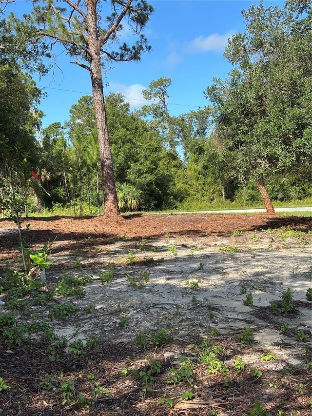 E Price Blvd, North Port, FL 34288 - photo 6