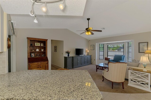 7218 Darlington St, Englewood, FL 34224 - bedroom with lofted ceiling, track lighting, light tile patterned flooring, and light colored carpet
