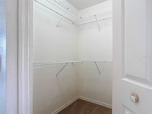 104 Mark Twain Ln, Rotonda West, FL 33947 - view of spacious closet