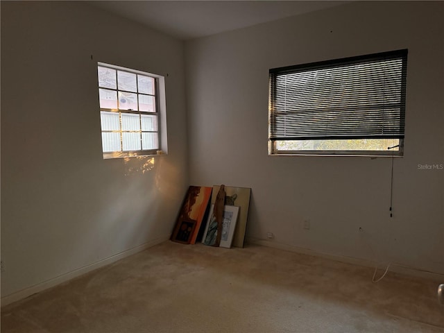 2911 Novus St, Sarasota, FL 34237 - photo 9