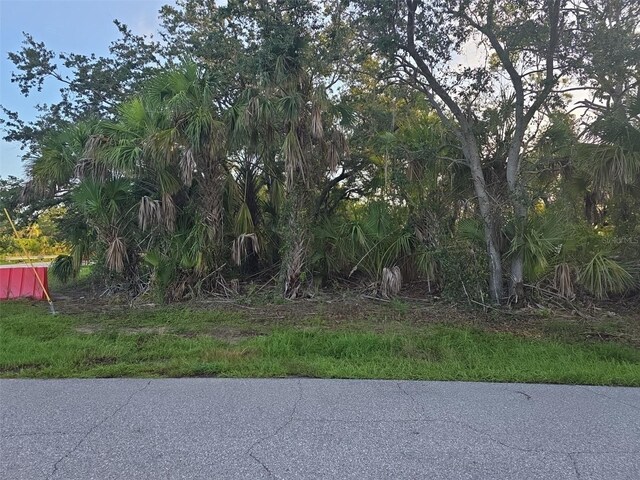 3378 Blitman St, Port Charlotte, FL 33981 - photo 1