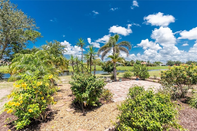 926 Boundary Blvd, Rotonda West, FL 33947 - view of yard with a water view and a patio