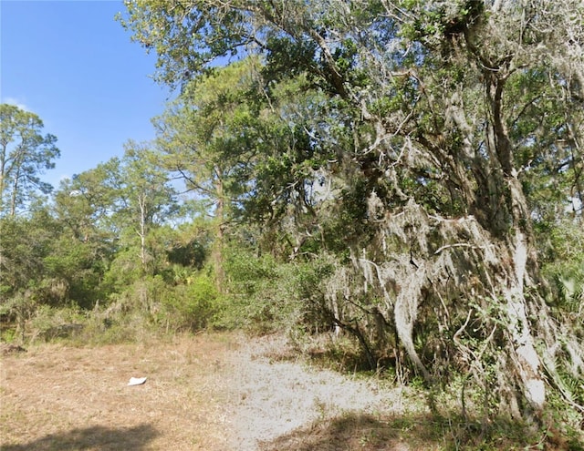 1113 Sherwin St, Port Charlotte, FL 33953 - photo 3