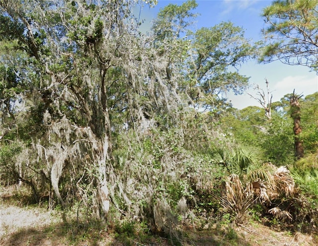 1113 Sherwin St, Port Charlotte, FL 33953 - photo 4