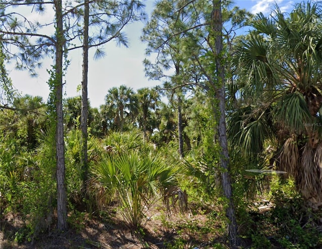 11965 Coleman Ave, Port Charlotte, FL 33981 - photo 2