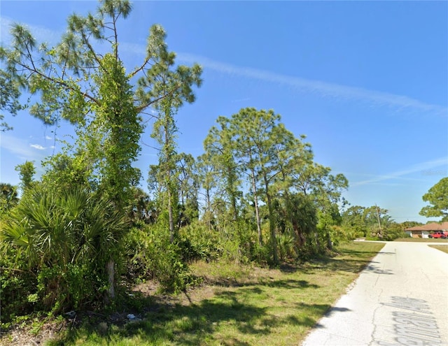 11965 Coleman Ave, Port Charlotte, FL 33981 - photo 4