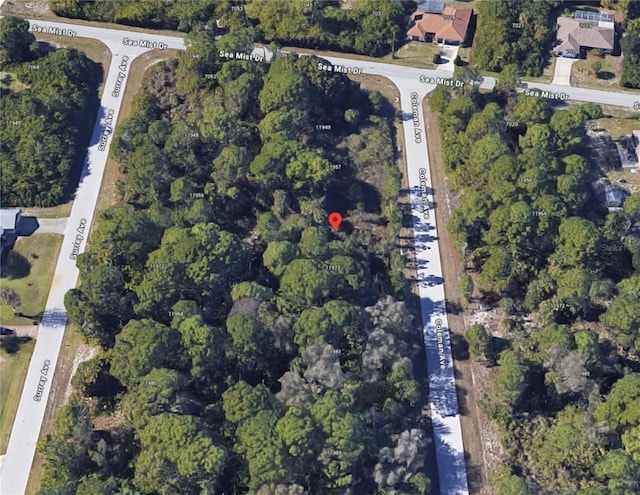 11965 Coleman Ave, Port Charlotte, FL 33981 - photo 7