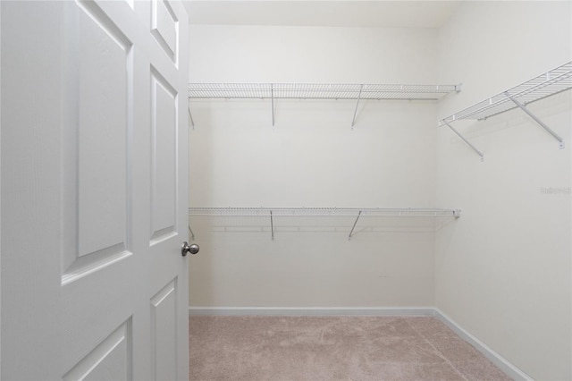 1530 Hyssop Loop, North Port, FL 34289 - spacious closet featuring carpet floors