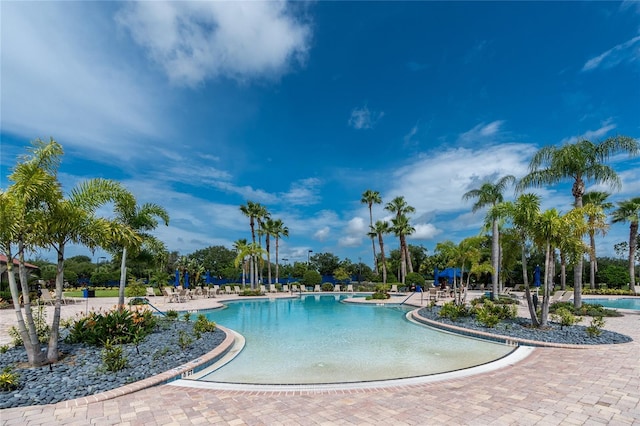 1530 Hyssop Loop, North Port, FL 34289 - community pool with a patio