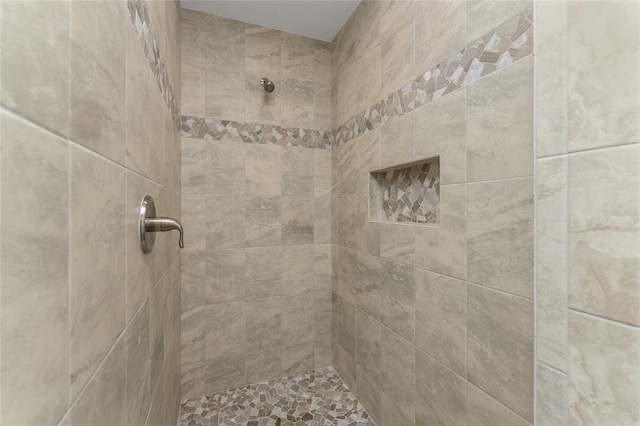 184 Spring Dr, Rotonda West, FL 33947 - bathroom with tiled shower