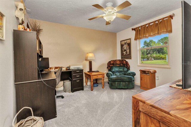 2541 Northway Dr, Venice, FL 34292 - photo 34