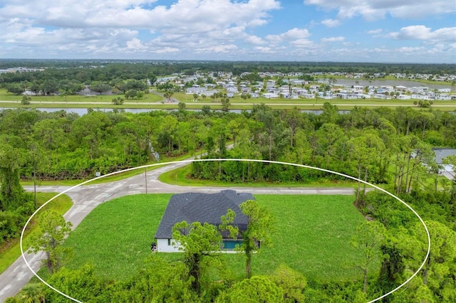 14089 Wenzel Ave, Port Charlotte, FL 33981 - bird's eye view of a large body of water and a tree filled landscape