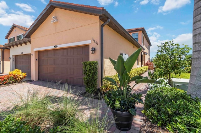 10801 Tarflower Dr Unit 102, Venice, FL 34293 - photo 4