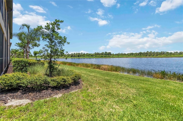 10801 Tarflower Dr Unit 102, Venice, FL 34293 - photo 45