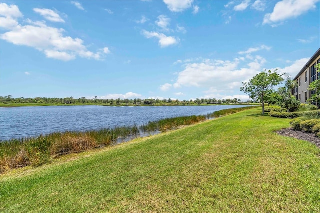 10801 Tarflower Dr Unit 102, Venice, FL 34293 - photo 46