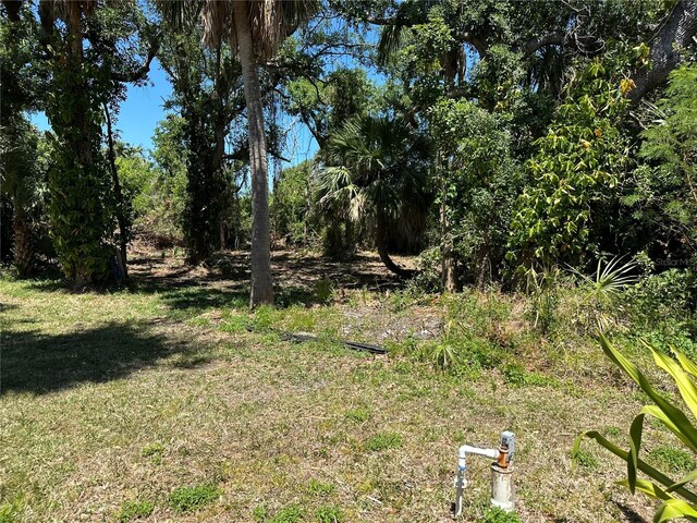 18122 Windswept Ave, Port Charlotte, FL 33948 - photo 66