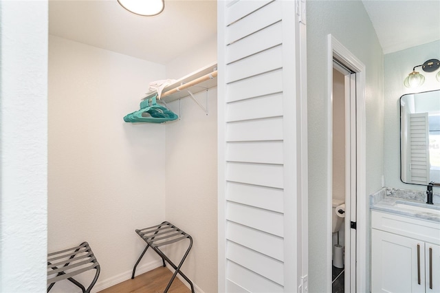 172 Mariner Ln, Rotonda West, FL 33947 - walk in closet with a sink and wood finished floors