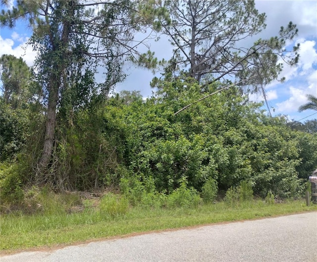 LOT6 Fitzgerald Rd, North Port, FL 34288