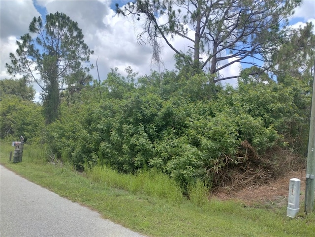 LOT6 Fitzgerald Rd, North Port, FL 34288