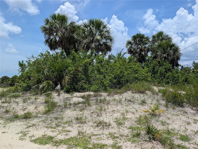 7157 Sea Mist Dr, Port Charlotte, FL 33981 - photo 2