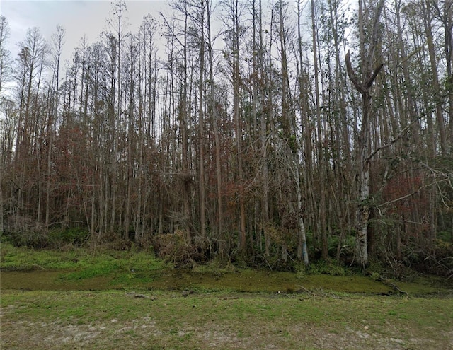 Ranch Rd, Tarpon Springs, FL 34688 - photo 3