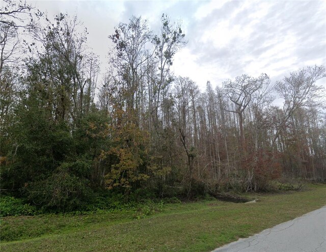 Ranch Rd, Tarpon Springs, FL 34688 - photo 4