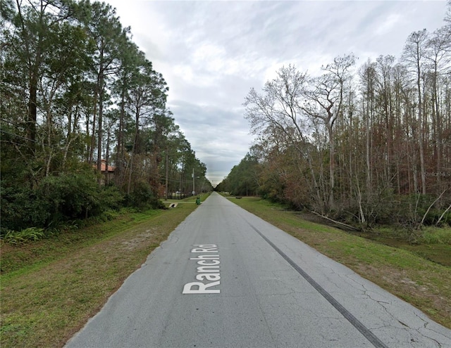 Ranch Rd, Tarpon Springs, FL 34688 - photo 5