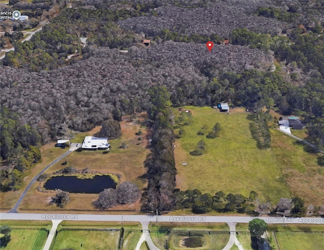 Ranch Rd, Tarpon Springs, FL 34688 - photo 9
