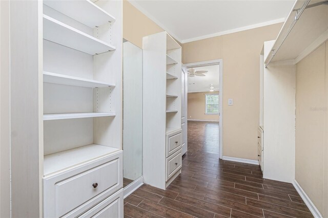 9150 Pine Cove Dr, Englewood, FL 34224 - walk in closet with dark wood-type flooring and ceiling fan
