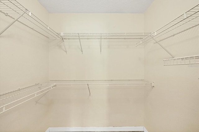 3768 Billingham Ln, North Port, FL 34288 - view of walk in closet