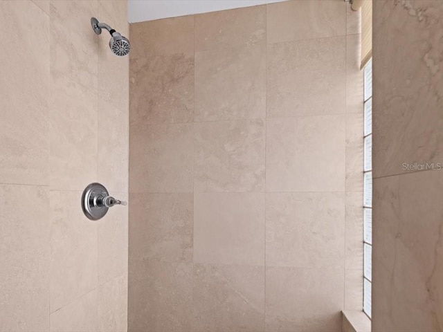 8041 Bay Pointe Dr, Englewood, FL 34224 - bathroom view of a tile shower