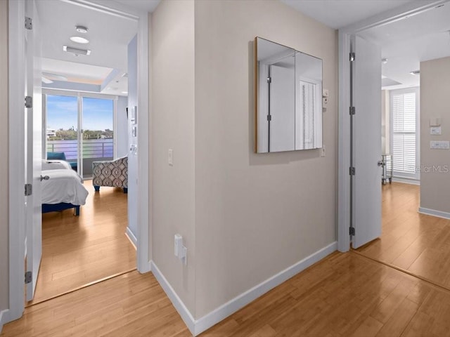 8041 Bay Pointe Dr, Englewood, FL 34224 - hall with light wood-style flooring and healthy amount of natural light