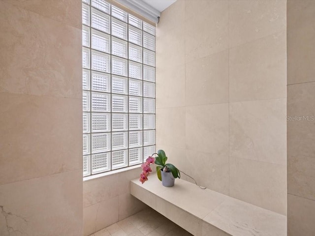 8041 Bay Pointe Dr, Englewood, FL 34224 - bathroom featuring tile walls