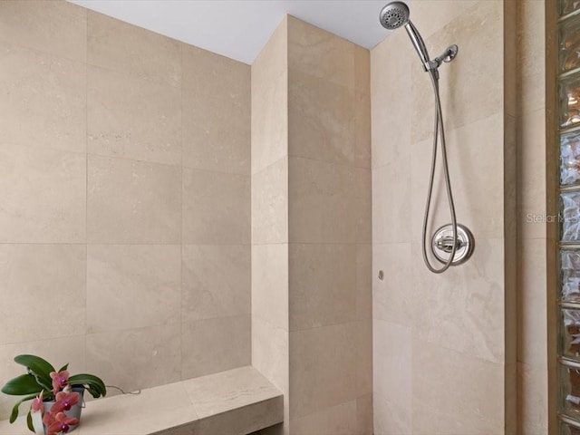 8041 Bay Pointe Dr, Englewood, FL 34224 - full bathroom with tiled shower