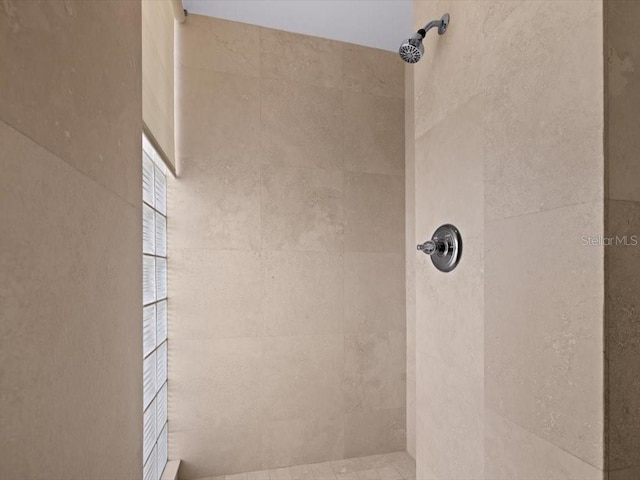 8041 Bay Pointe Dr, Englewood, FL 34224 - full bathroom with a tile shower