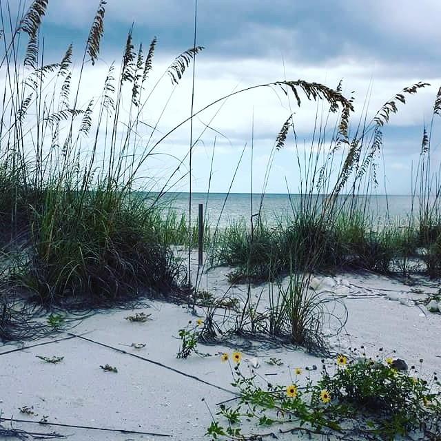 100 S Gulf Blvd, Placida, FL 33946 - view of yard featuring a water view