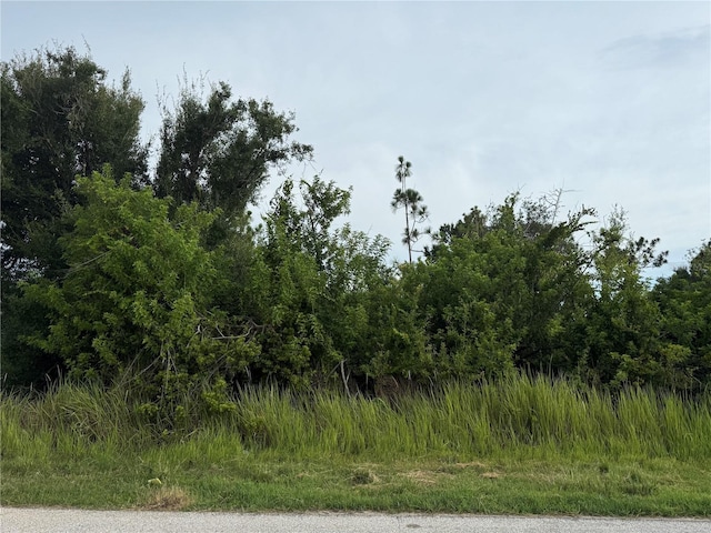 9491 Tacoma Ave, Englewood, FL 34224 - photo 3