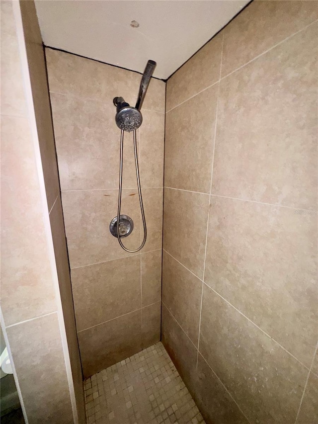 26591 Fairway Dr Unit A & B, Punta Gorda, FL 33982 - bathroom featuring tiled shower