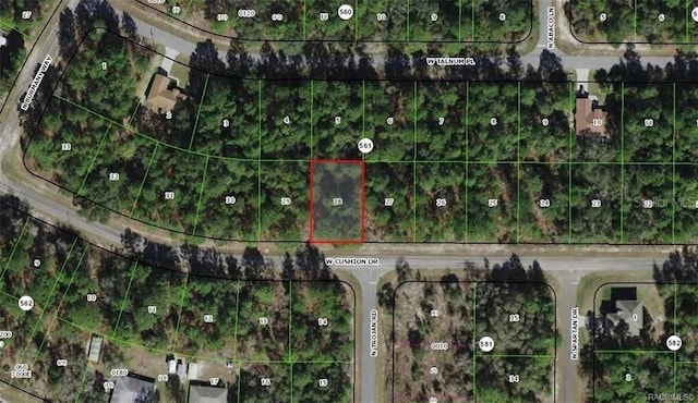 3357 W Cushion Dr, Citrus Springs, FL 34433