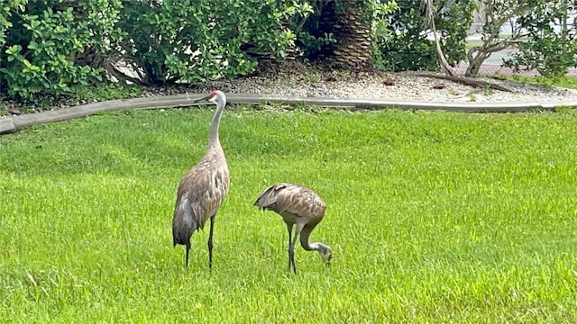 11644 SW Egret Cir Unit 905, Lake Suzy, FL 34269 - exterior view