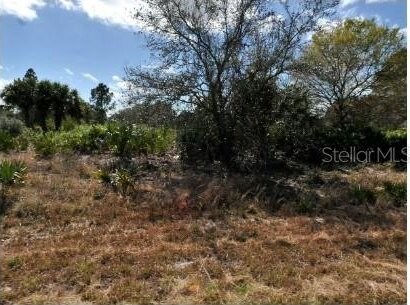 LOT4 Morrisette Ln, North Port, FL 34288 - photo 3