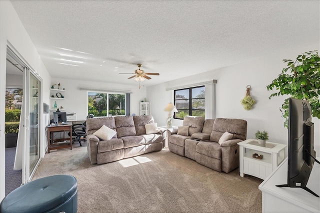 13450 Bennett Dr, Port Charlotte, FL 33981 - photo 8