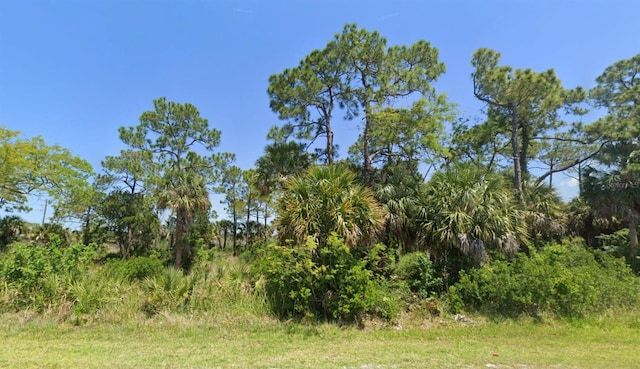 New York Ave, Hudson, FL 34667 - photo 4