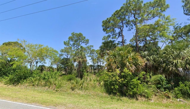 New York Ave, Hudson, FL 34667 - photo 5
