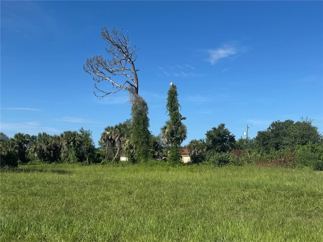 263 White Marsh Ln, Rotonda West, FL 33947 - photo 3