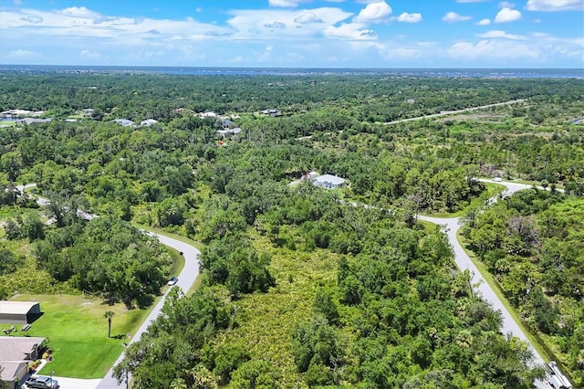 1553 Frisco Ter, Port Charlotte, FL 33953 - photo 6